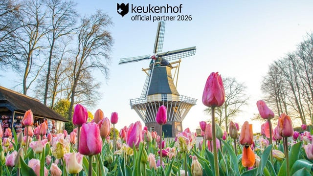 Amsterdam : entrée au Keukenhof et navette avec retour flexible