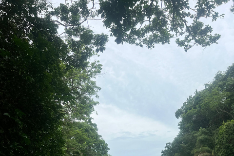 Panama-Stad: Oude Stad en Apeneilandoude stad en apeneiland