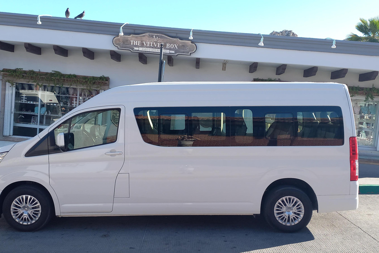 洛斯卡沃斯机场私人地面交通