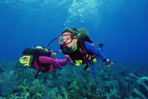 Excursion de plongée sous-marine avec transfert depuis Alanya et la ville de Side