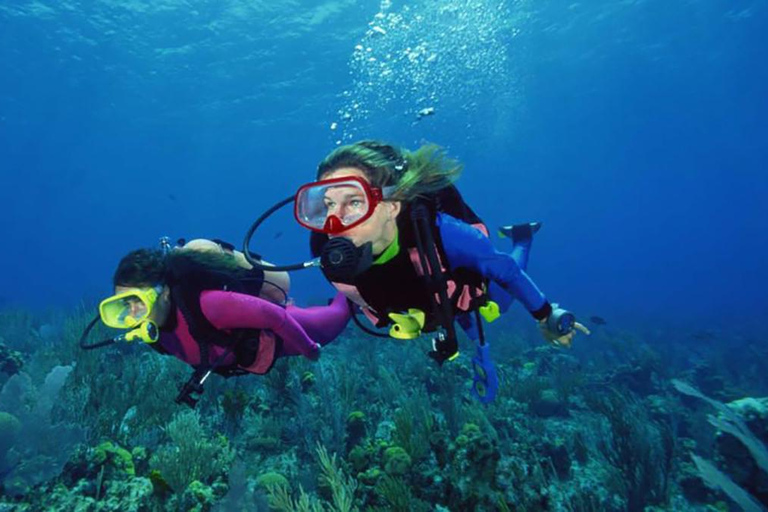 Excursión de buceo con traslado desde Alanya y la ciudad de Side