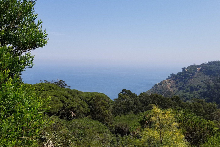 Tour privato di Tangeri da Gibilterra