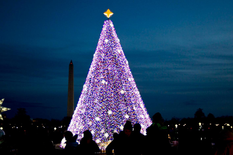 DC: Downtown Ultimate Holiday Walking Tour with Hot Cocoa