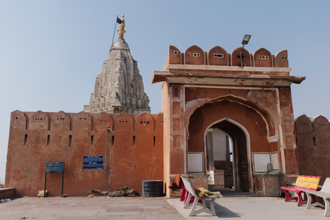 Jaipur: Prywatna całodniowa wycieczka (angielski, francuski, hiszpański, włoski, hindi)