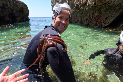 Arrábida: Kayak & Wild Beach Snorkeling with Pickup Option Tour with Meeting Point in São Lourenço