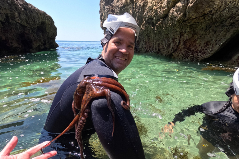 Arrábida: Kayak & Wild Beach Snorkeling with Pickup Option Tour with Meeting Point in São Lourenço