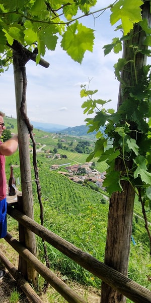 Valdobbiadene, Prosecco private tour & taste with Sommelier - Housity