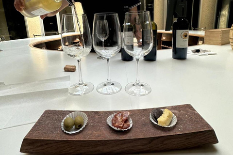 Viña Haras de Pirque Wine Experience