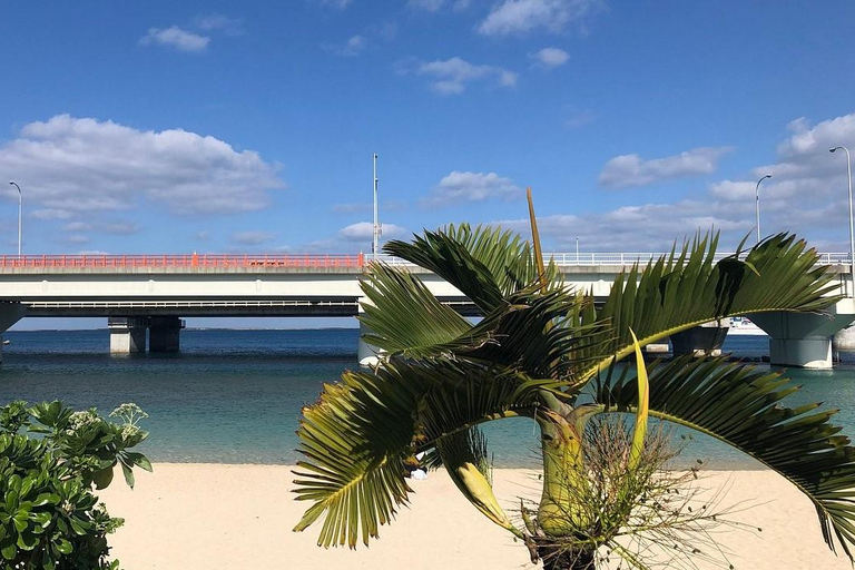 Naha: Guided Walking Tour with Street Food Tastings