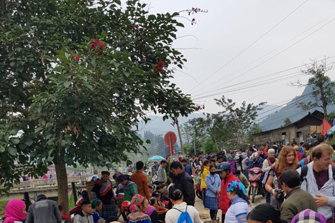 From Sapa: 1D Local Bac Ha Sunday Market Tour - Best Seller Bac Ha Market Tour with Local Lunch ( Lunch Included )