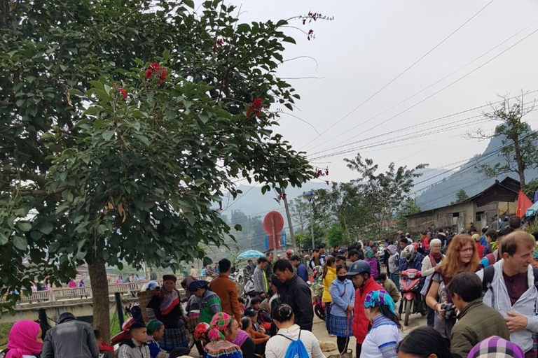 From Sapa: 1D Local Bac Ha Sunday Market Tour - Best Seller Bac Ha Market Tour with Local Lunch ( Lunch Included )
