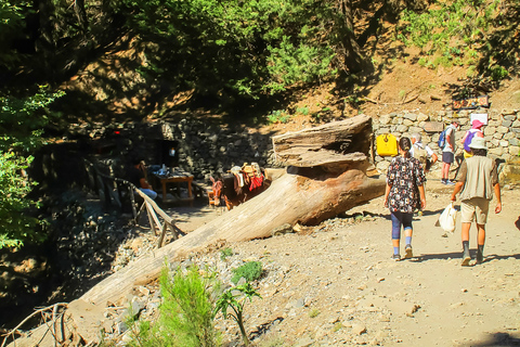 Desde La Canea: excursión de 1 día a la garganta de SamariaGarganta Samaria: excursión desde Kalyves o Almyrida