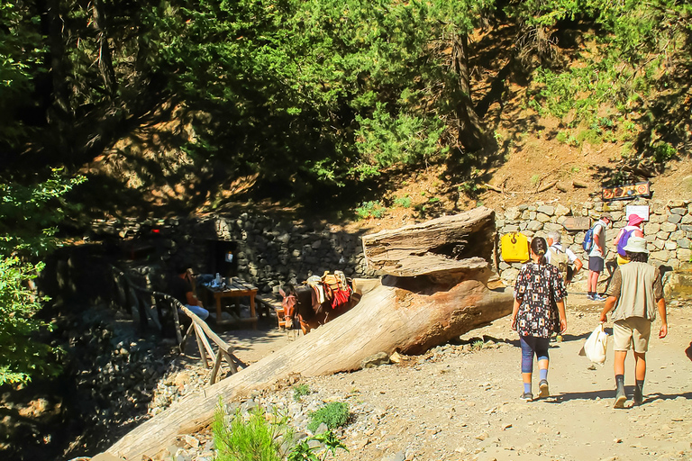 From Chania: Full-Day Samaria Gorge Trek ExcursionFrom Kalyves or Almyrida