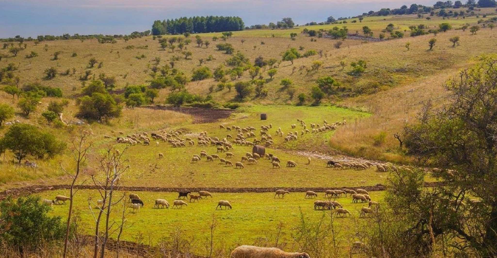 Castel del Monte eBike Tour - Hizvo