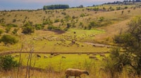 Castel del Monte eBike Tour - Hizvo