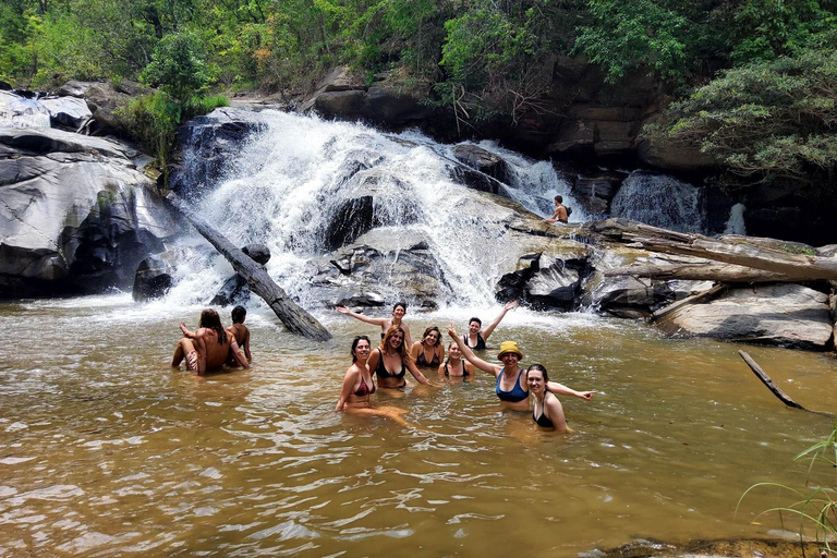 Chiang Mai: 1-Day Jungle Trekking in the Doi Inthanon Area