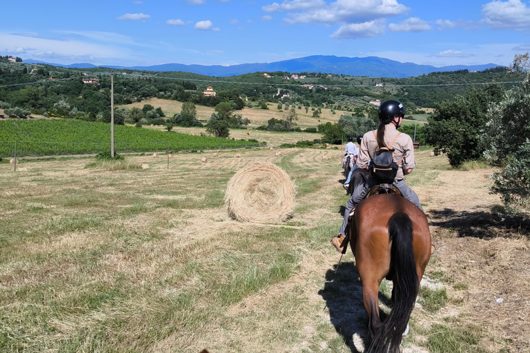 Firenze: Tour a cavallo con degustazione di vini e trasferimento
