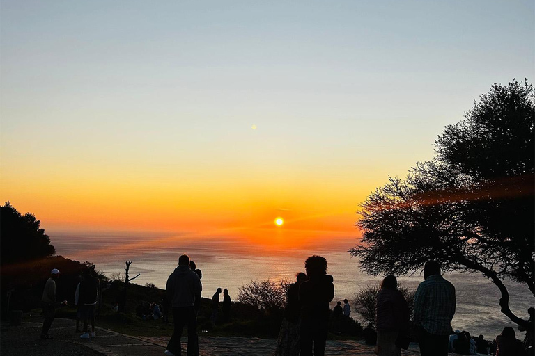 كيب تاون: جولة بالحافلة عند الغروب مع نزهة في سيجنال هيل
