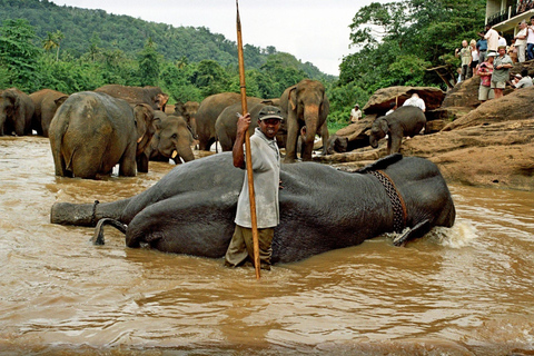 From Galle/Mirissa/Hikkaduwa: Kandy Day Tour with Pickup