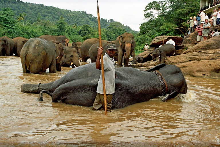 From Galle/Mirissa/Hikkaduwa: Kandy Day Tour with Pickup