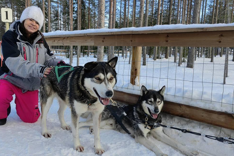 Rovaniemi: Santa Claus Village & Husky Ride Experience