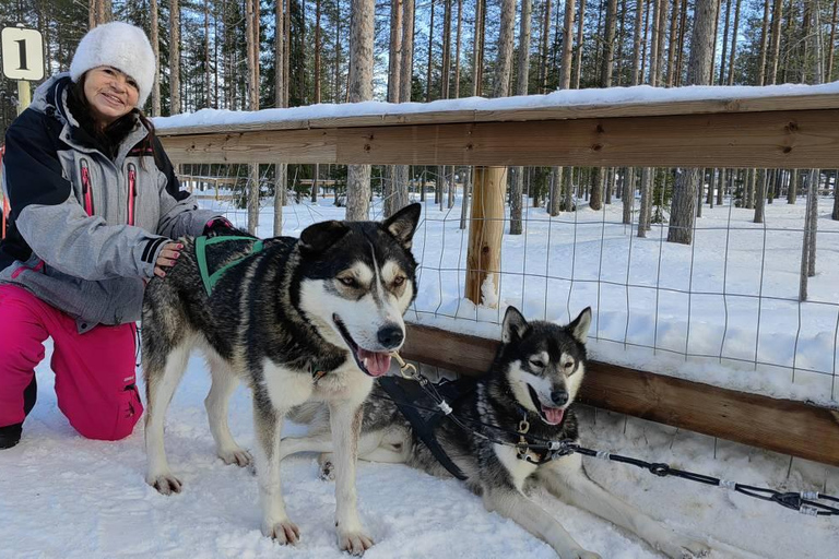 Rovaniemi: Santa Claus Village & Husky Ride Experience