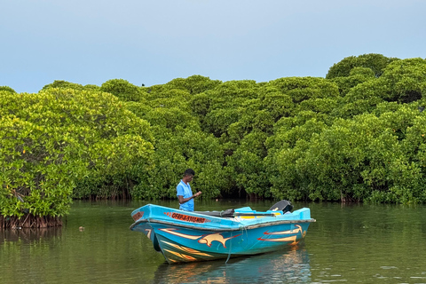 Tour en barco al atardecer por la laguna de Negombo y el canal holandésTour en barco por la laguna de Negombo y el canal holandés al atardecer