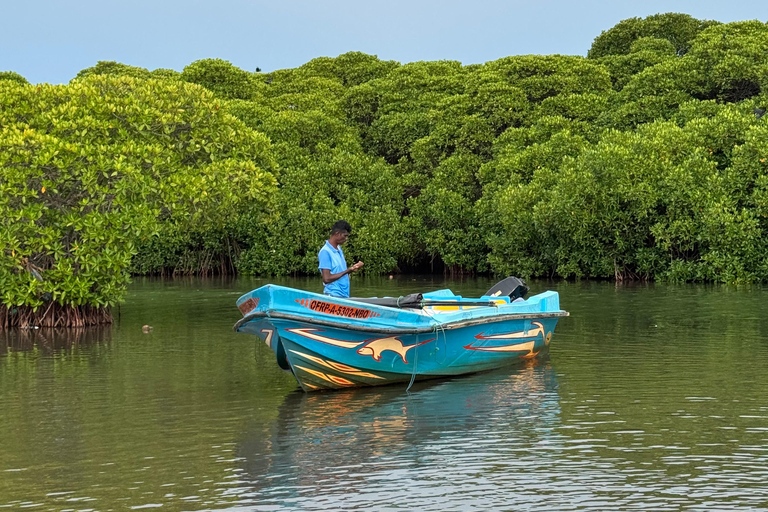 Tour en barco al atardecer por la laguna de Negombo y el canal holandésTour en barco por la laguna de Negombo y el canal holandés al atardecer