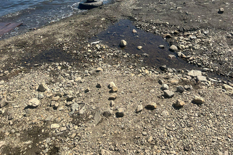 东京出发：日光私人导览之旅含午餐