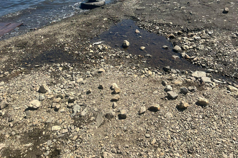 东京出发：日光私人导览之旅含午餐