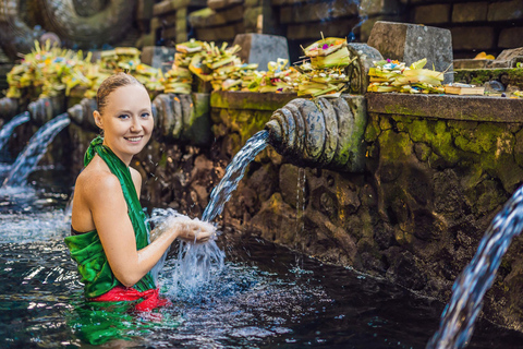 Ubud: Monkey Forest, Rice Terrace, Waterfall Private Tour Private Tour Without Entry Tickets