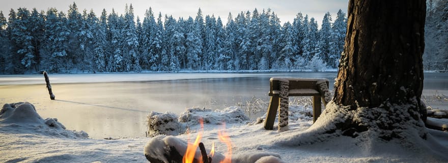 Feu de bœuf et festin d'hiver à Oslo : Goûtez aux saveurs de la Norvège