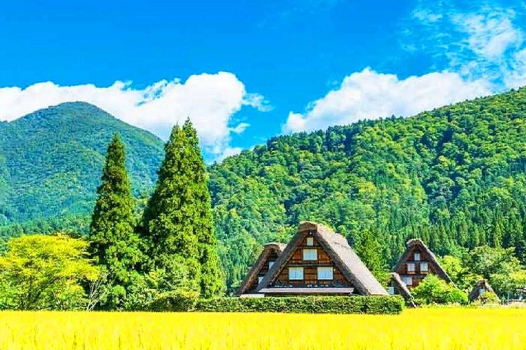 Private Nagoya & Shirakawa-go w/ English Driver Package B: Kamikochi & Taisho Pond