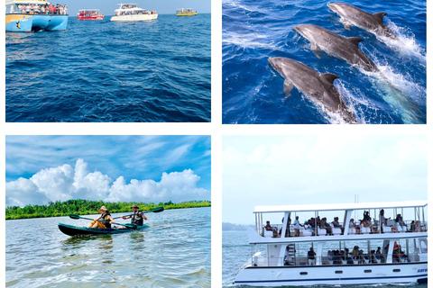 Mirissa: Whale Watching Boat Tour & Kayaking Experience Whale Watching Boat Tour only (With Entry Ticket)