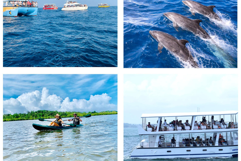 Mirissa: Whale Watching Boat Tour & Kayaking Experience Whale Watching Boat Tour only (With Entry Ticket)