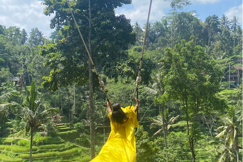 Bali Swing Experience with Jungle, Bed, & Love Swing Regular Swing
