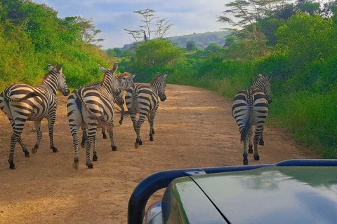 Nairobi: National Park Half-Day Safari with Hotel Pick-Up