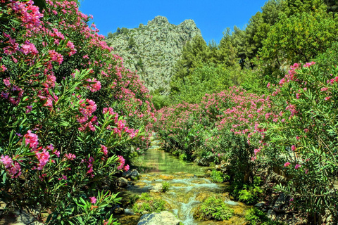 From Albir or Benidorm: Algar Waterfalls Day Trip From Benidorm with Gran Hotel Bali Meeting Point