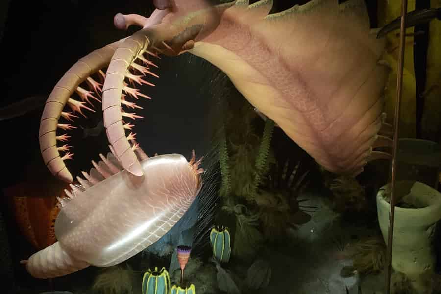 1-Tages-Tour nach Drumheller: Von Calgary zu den Hoodoos, Dinosauriern und Badlands. Foto: GetYourGuide