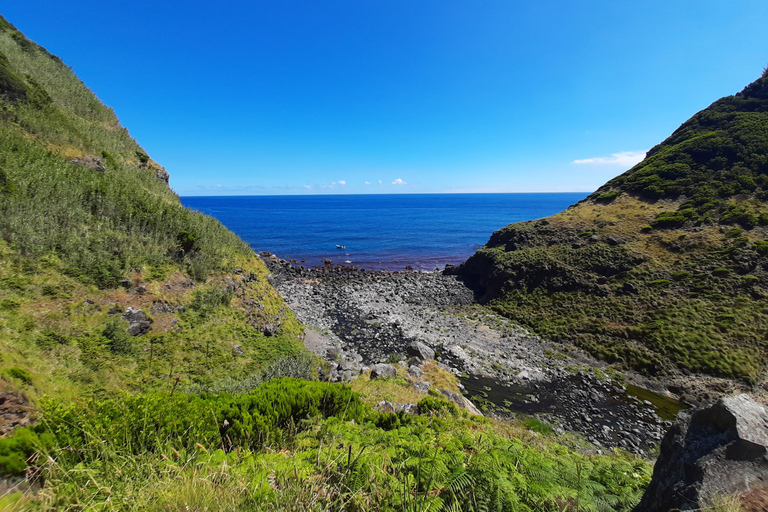 São Miguel: Moinho do Felix-Wanderung mit Besuch der Teefabrik