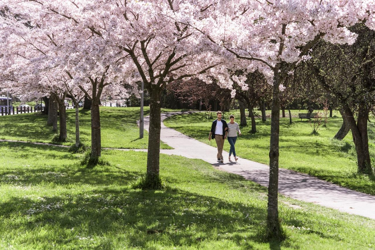 Cultuur en erfgoed van Quintessential Christchurch