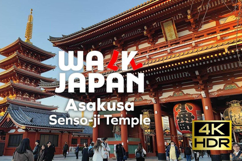 Tokyo: Private Customizable Tour with Driver-Guide