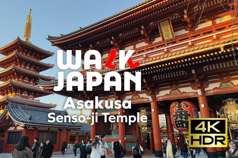 Tokyo: Private Customizable Tour with Driver-Guide