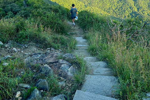 Hong Kong: 360 Panorama Sunset Hike to the Peak with Local Hong Kong: 360° Panorama Sunset Hike to the Peak with Local