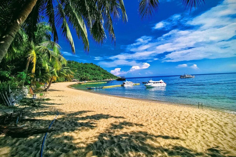 Da Nang/Hoi An: Cham Island Snorkeling or Diving Tour Group Tour