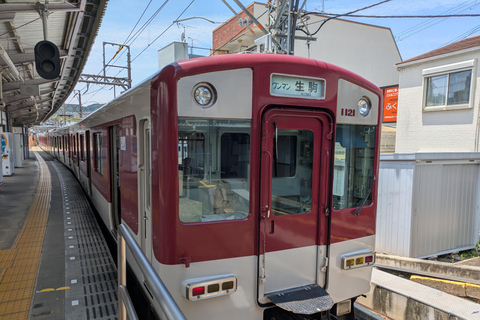 From Osaka: Horyuji Temple and Mount Ikoma Day Tour