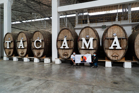 Excursión de un día a la Bodega Tacama