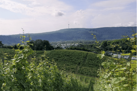 Coblenza: il vigneto vivente, la natura e il vino