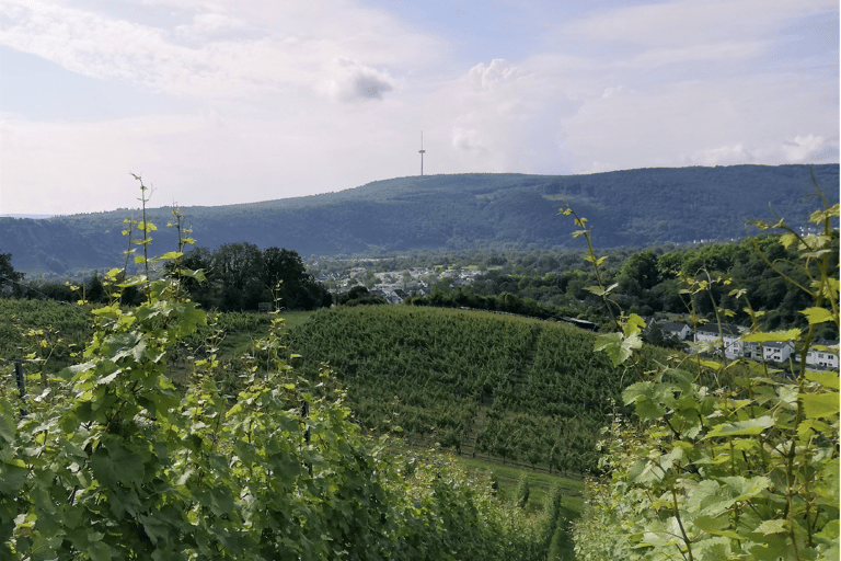 Coblence : Le vignoble vivant, la nature et la dégustation de vin