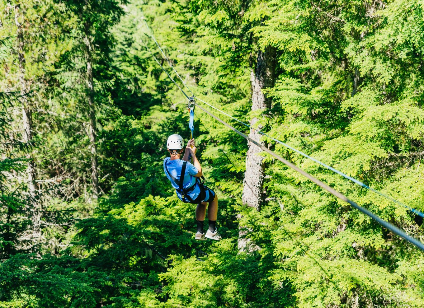 Whistler: Ziplining-oplevelse